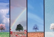 четыре времени года, радуга, снег, листва, солнышко