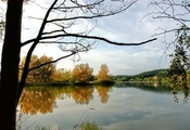 дикая природа, прохладная вода, желтая листва