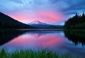 сумерки, розовое небо, лес