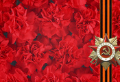 гвоздики, лента, звезда