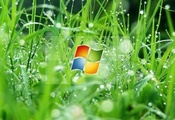 травка, windows, капельки воды