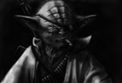 Star wars, йода, пират, плащ, патроны, автомат, калашникова, сигарета