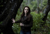 Kristen stewart, актриса, кино, сумерки, лес