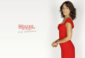 House m.d., сериал, доктор хаус, лиза кадди