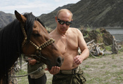 Владимир путин, президент россии, премьер-министр россии, лошадь, природа, путин, горы, обои
