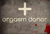 оргазм, донор, orgasm, надпись, donor, Стиль жизни, юмор, минимализм, оргазма