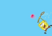 squarepants, губка боб, Spongebob, квадратные штаны, спанч боб