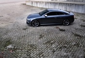 авто фото, ауди, cars, Audi, rs5, авто обои, тачки, auto wallpapers