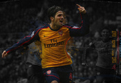 футбольные обои, cesc fabregas, сеск фабрегас, клубы, sport, arsenal wallpapers, арсенал, Спорт, football clubs