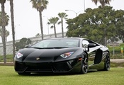 Lamborghini, ламборджини, машина