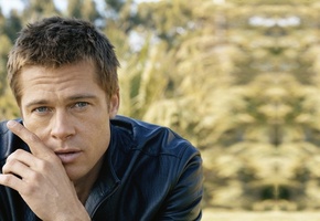 Брэд питт, продюсер, актёр, brad pitt, взгляд, мужчина