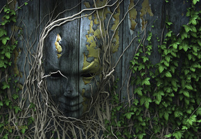 корни, Природа, лицо, забор, плющ