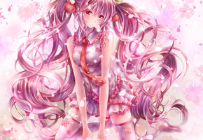 tandolcedeco, сакура, девушка, vocaloid, sakura miku, вокалоид, Арт